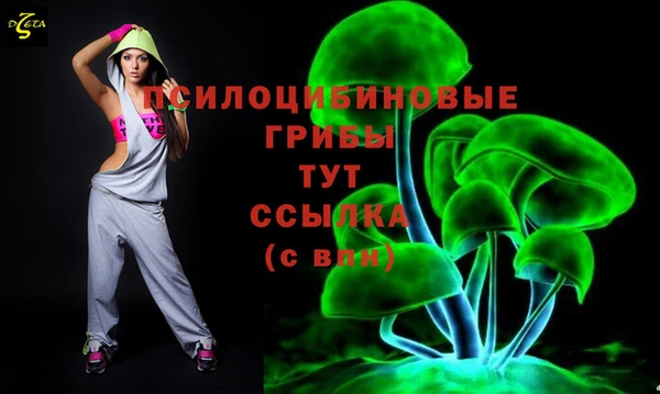 мдма Заволжск